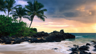 Beach rocks palm trees cloudy 2 - beautiful landscape free wallpaper for desktop