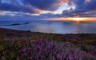Sunset field water clouds mountains - rich moody colour free wallpaper