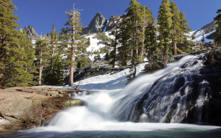 Waterfall snow trees mountain nature - the ground and trees free wallpaper