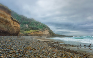Rocky beach birds ocean cliff - the ocean and a cliff free wallpaper