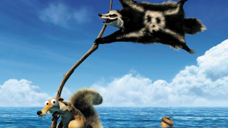Animals branch water sky clouds - a group of animals free wallpaper
