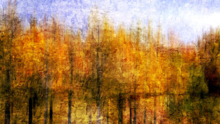 Forest autumn leaves campfire fire 2 - impressionist painting free wallpaper
