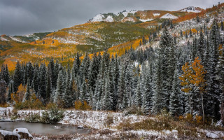 Mountain lake trees snowy background - covered mountain free wallpaper