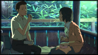 Man woman talking table plant - a man and a woman sitting free wallpaper