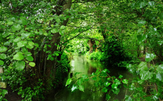 River bridge forest ecological impressionist - impressionist free wallpaper