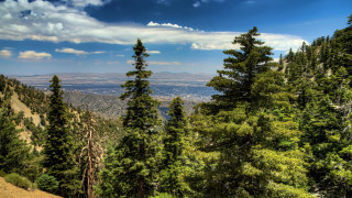 Mountain range view trees horizon - a high point of view free wallpaper