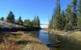 River forest tree sunny nature - river free wallpaper