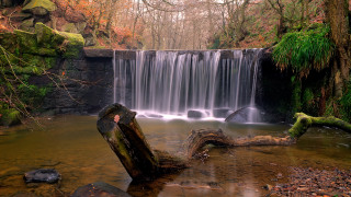 Waterfall fallen tree log light - fallen free wallpaper