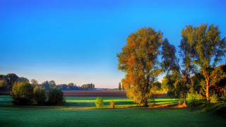 Autumn landscape trees blue sky - art brenner free wallpaper