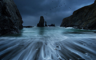Birds flying over water rocky - a group of birds free wallpaper