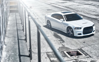 White car street fence cobra - a fence and a building free wallpaper