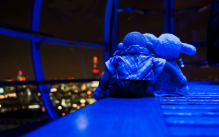 Teddy bear ledge night city - a blue light free wallpaper