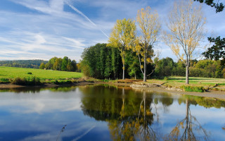 Pond trees grassy clouds matte - barbizon school free wallpaper