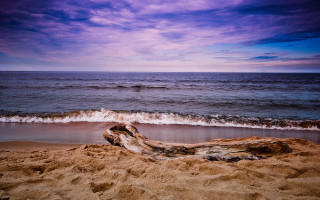 Log beach purple sky ocean - a purple sky above free wallpaper