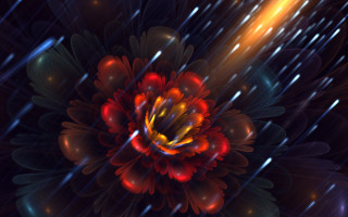 Flower bright center rain stars - rain drop free wallpaper