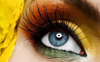 Blue eye yellow flower florrianne - realistic eye free wallpaper