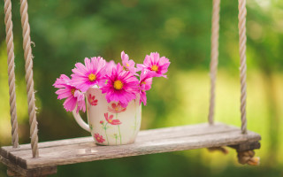 White mug pink flowers swing - a swing free wallpaper