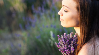 Woman flower field profile outdoors - a bunch of flowers free wallpaper