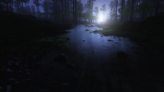 Dark forest stream night light - a stream free wallpaper