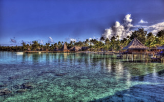 Tropical island hut palm trees - a tropical island free wallpaper