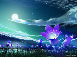 Flower night sky full moon - full free wallpaper for desktop