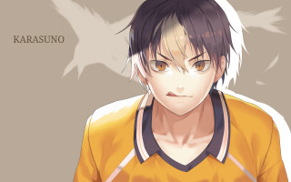 Man yellow shirt white bird - lineart free wallpaper