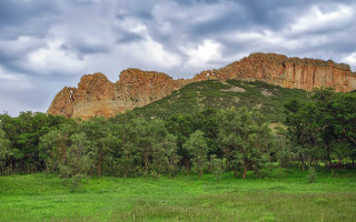 Grassy field mountain trees cloudy - a grassy field free wallpaper