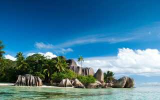 Tropical island palm trees rocks 6 - a tropical island free wallpaper