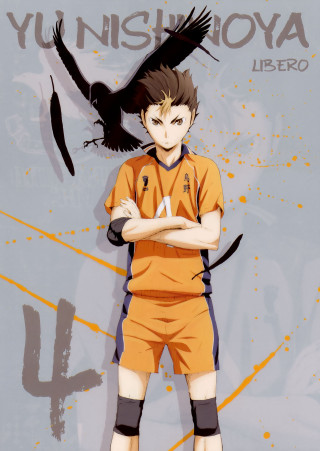 Man uniform bird shoulder bird - visual art free wallpaper