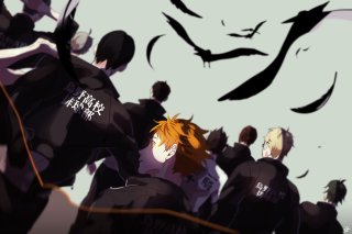 People birds flying group sky - a black jacket free wallpaper