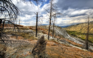 Mountain trail dead trees cloudy - a cloudy sky above free wallpaper