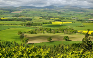 Green field trees mountains clouds 2 - tree and mountains free wallpaper