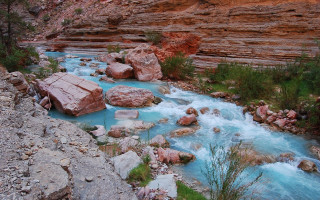 River canyon rocks grass trees - a canyon free wallpaper