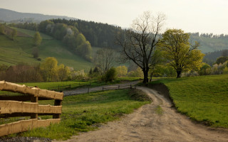 Dirt road lush countryside tree - a wooden fence free wallpaper