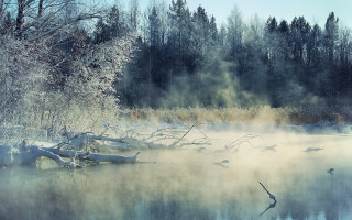 Foggy lake birds winter arkhip - a foggy lake free wallpaper