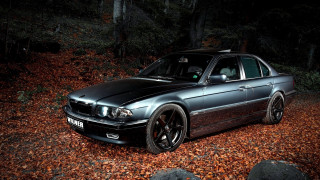 Car woods night starry forest - a forest in the background free wallpaper
