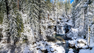 Stream forest snow covered rocks - a stream free wallpaper
