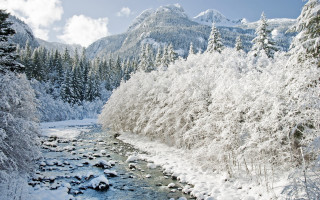 Snowy river forest mountains winter - snow next free wallpaper
