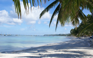 Beach boat palmtree water cloudy - bascove free wallpaper