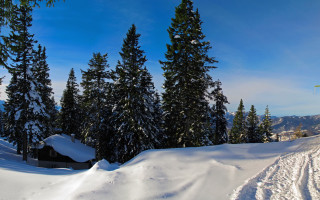 Snowboard jump hill trees sky - a snowboard free wallpaper