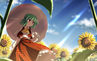 Woman umbrella sunflowers field sky - sun free wallpaper