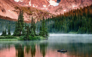 Mountain lake forest fog cherry - the foreground and a forest in the background free wallpaper