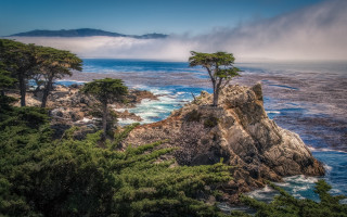 Lone tree rocky cliff ocean - a rocky cliff free wallpaper
