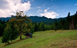 Small cabin field trees mountains - a small cabin in a field free wallpaper