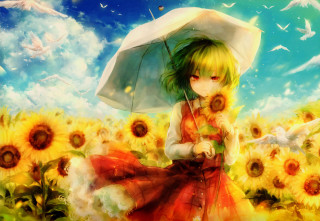 Woman sunflower umbrella field birds - bird free wallpaper for desktop