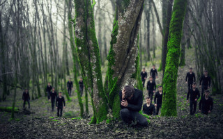 Mossy forest group surreal nature - moss free wallpaper