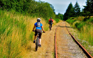 Biking dirt road train tracks - grass free wallpaper