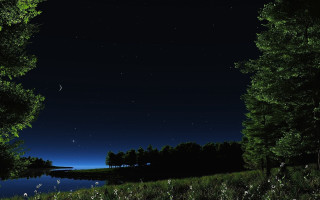Night lake moon trees aurora - a night scene free wallpaper