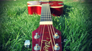 Red guitar green field folk 2 - a lush green field of grass next free wallpaper