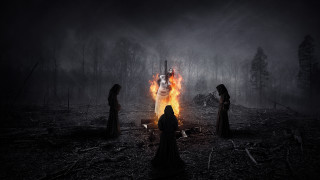 Gothic woods fire embers night - a fire free wallpaper